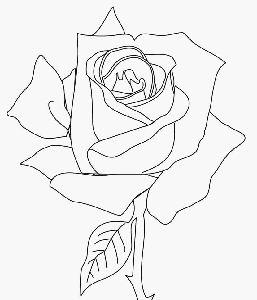 画花简笔画 如何画花简笔画