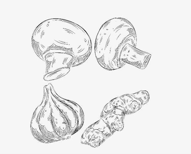 香菇简笔画 香菇简笔画彩色