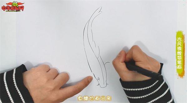 古风锦鲤怎么画 古风锦鲤简笔画画法