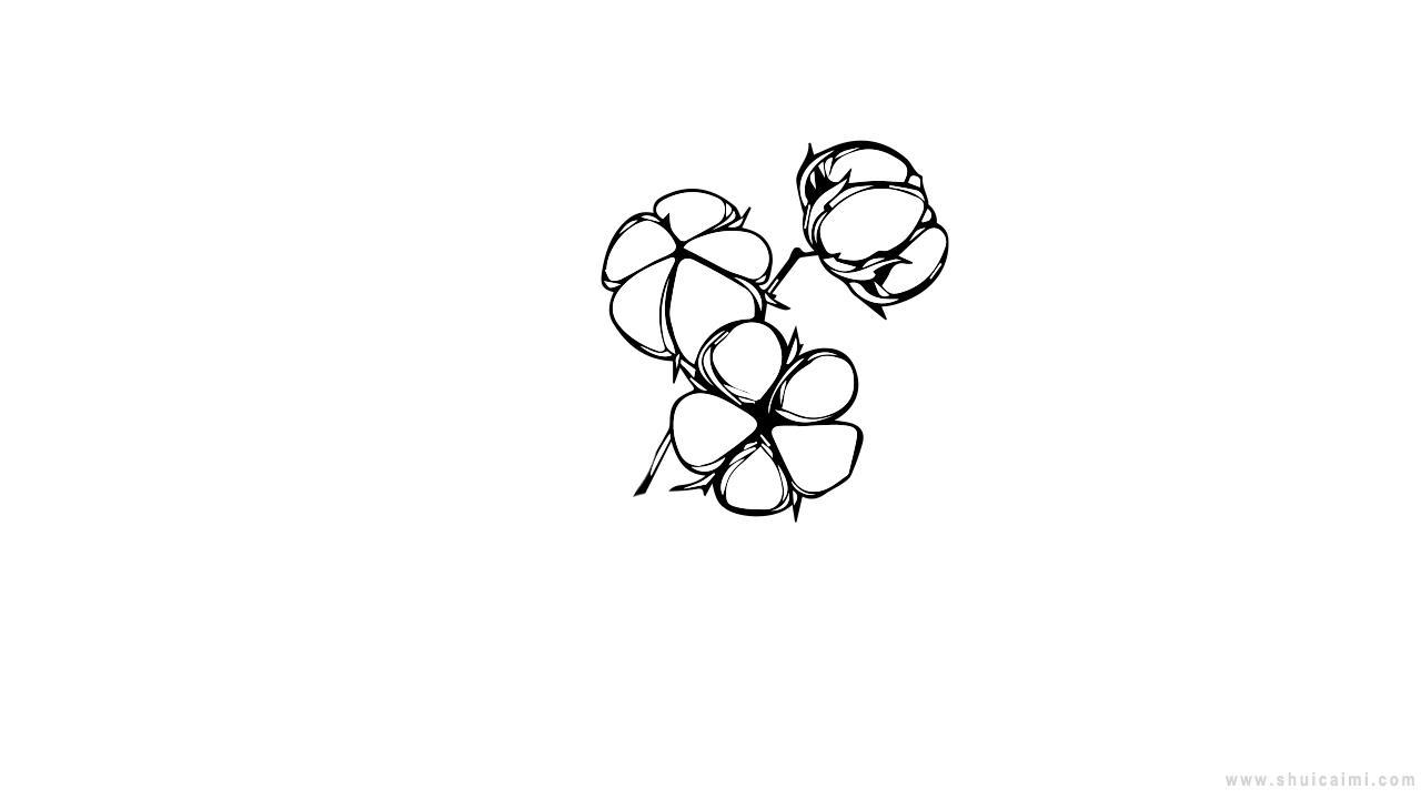 棉花简笔画的画法告诉你,棉花简笔画怎么画?