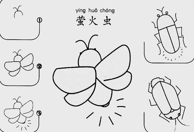 萤火虫简笔画 萤火虫简笔画简单又好看