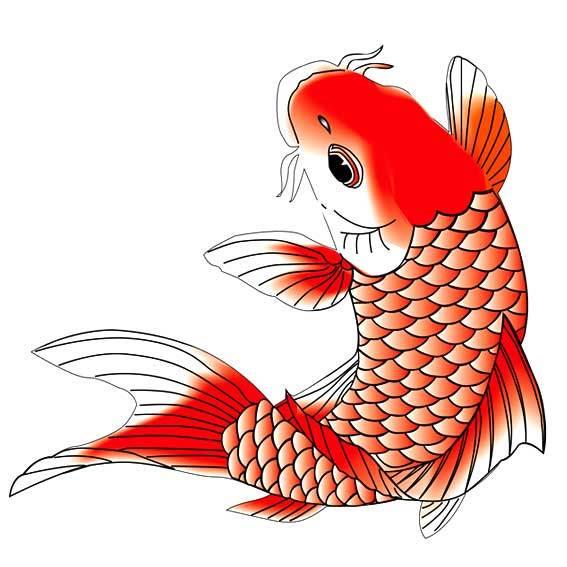 鲤鱼简笔画 鲤鱼简笔画简单又漂亮