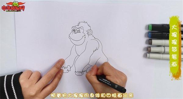 大猩猩怎么画 大猩猩简笔画漂亮卡通