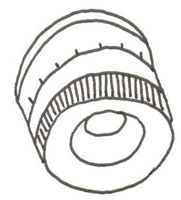 相机的简笔画怎么画  相机的简笔画步骤