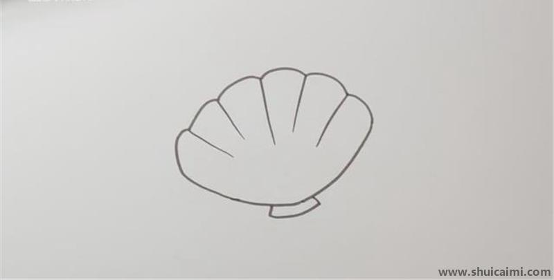 一步一步教你贝壳简笔画怎么画