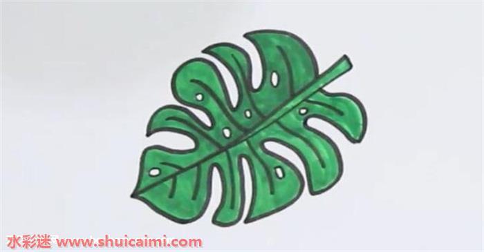龟背竹怎么画 龟背竹简笔画画法
