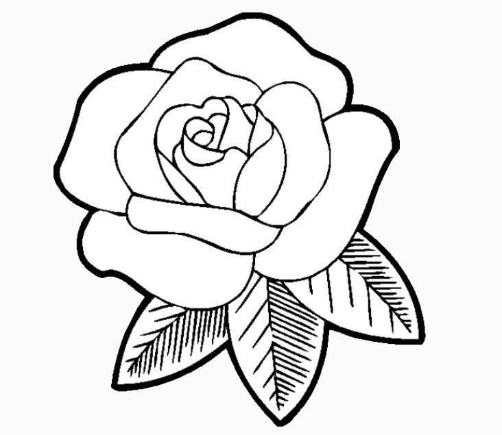 画玫瑰花的简笔画 画玫瑰花的简笔画一朵