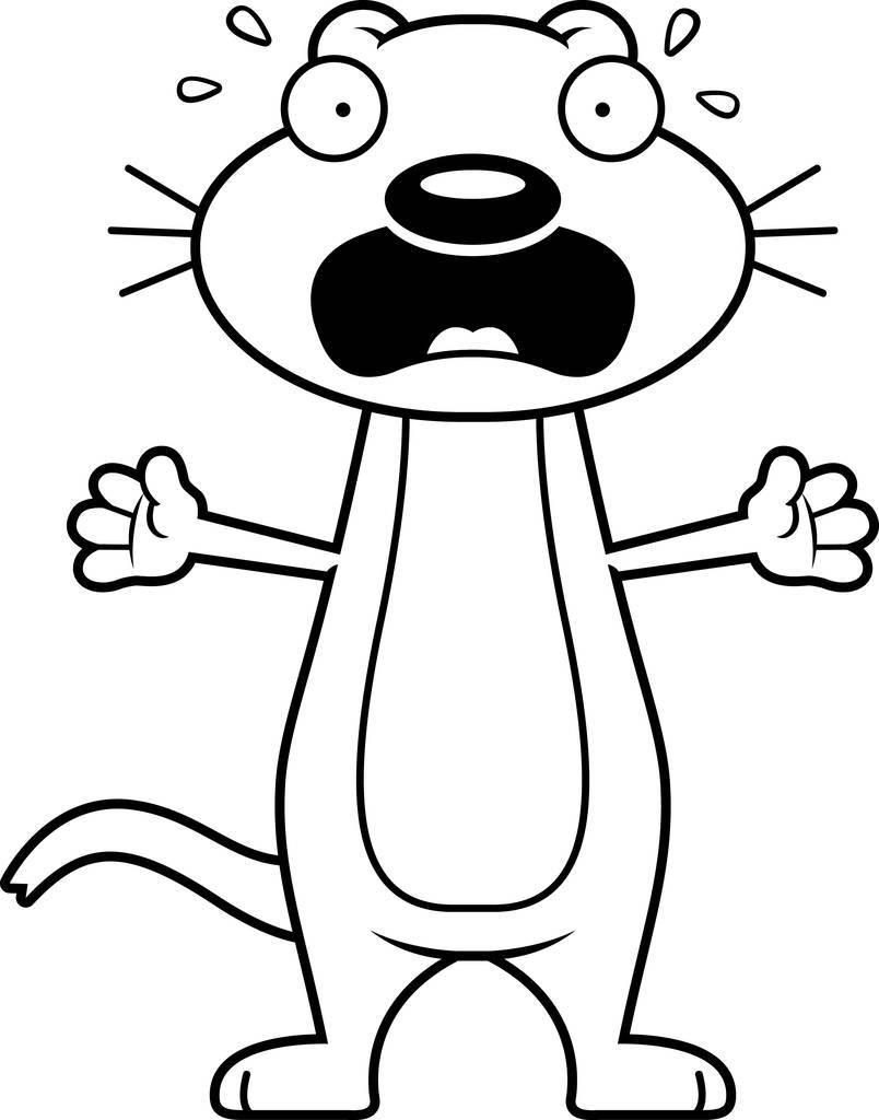 黄鼠狼简笔画图片大全 黄鼠狼简笔画图片大全图片