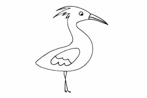 白鹭简笔画 白鹭简笔画简单又漂亮