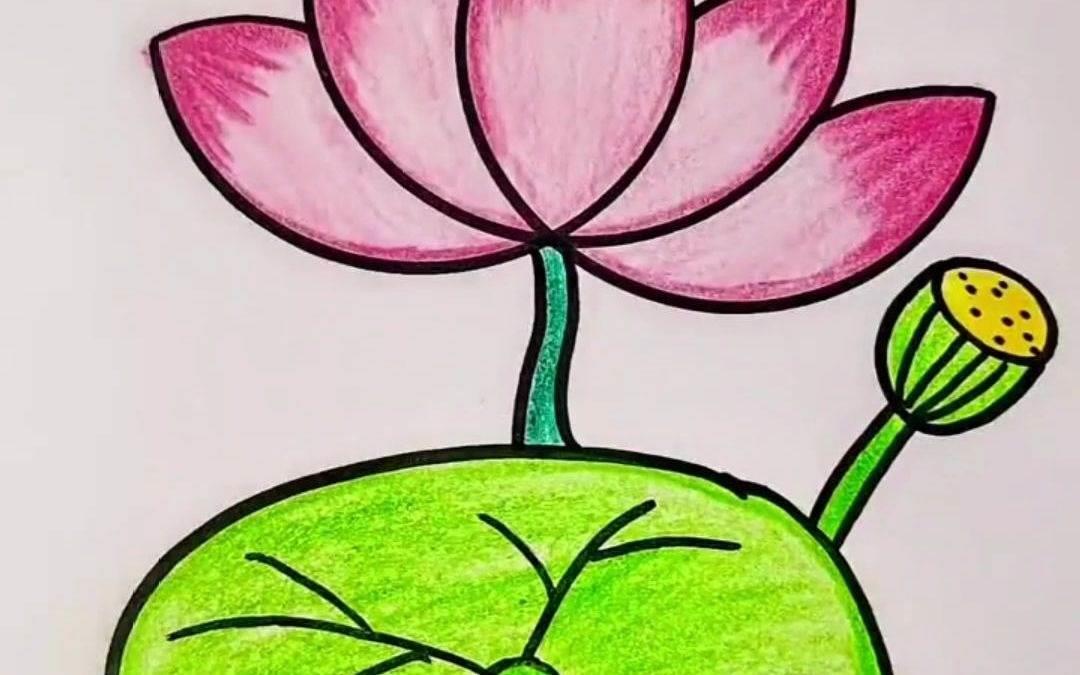 荷花简笔画 荷花简笔画图片