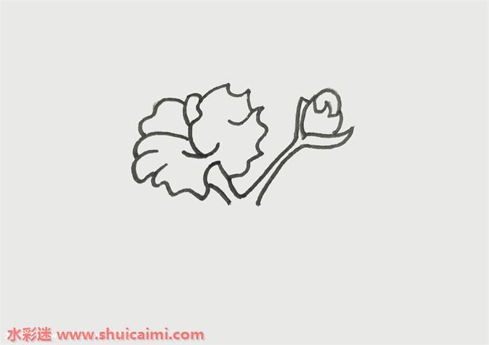 木棉花怎么画 木棉花简笔画简单彩色
