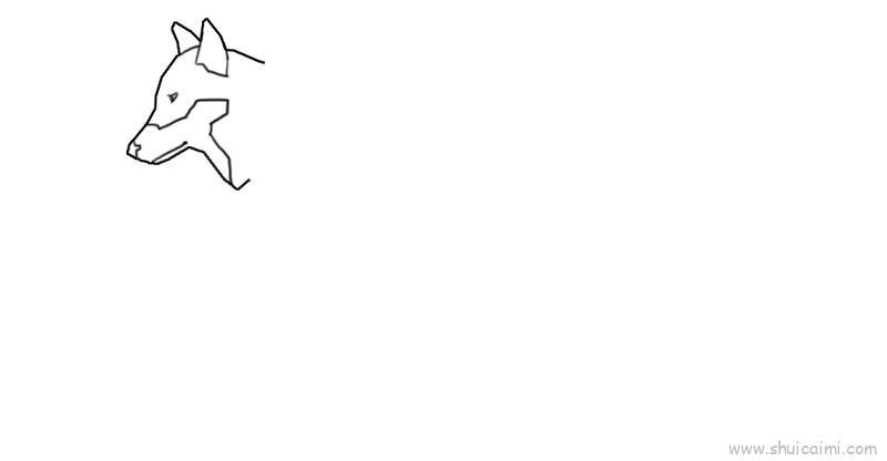 狼儿童画怎么画 狼简笔画顺序