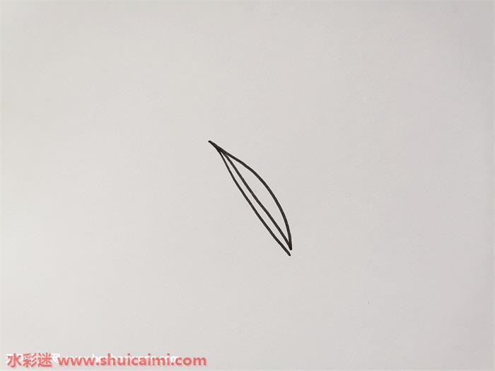 茶叶怎么画 茶叶简笔画漂亮卡通