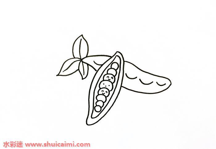 QQ红包豌豆怎么画 QQ红包豌豆简笔画图片带颜色