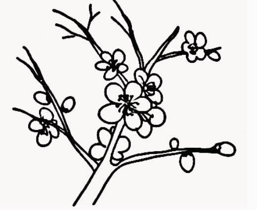 梅花图片简笔画手绘 梅花图片简笔画手绘儿童画
