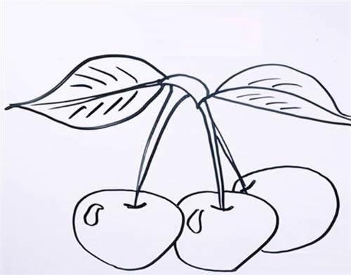 简笔画樱桃树绘画 简笔画的樱桃树