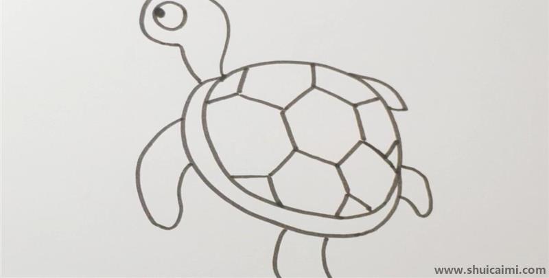 乌龟儿童简笔画怎么画 乌龟儿童画画法