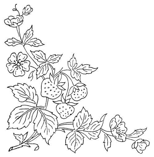 花草简笔画图片大全 儿童画花草简笔画图片大全