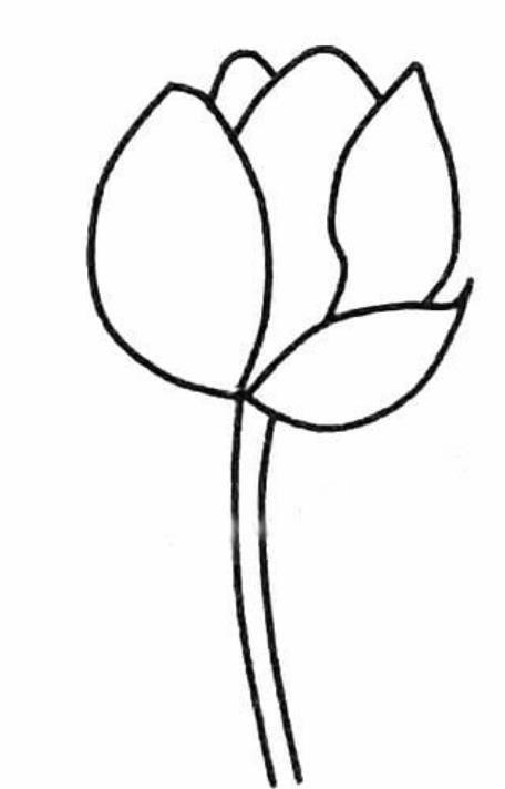 莲花简笔画 莲花简笔画图片大全大图