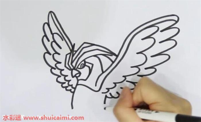 比比鸟怎么画 比比鸟简笔画步骤