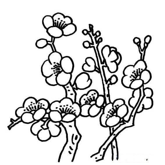 梅花图片简笔画手绘 梅花图片简笔画手绘儿童画