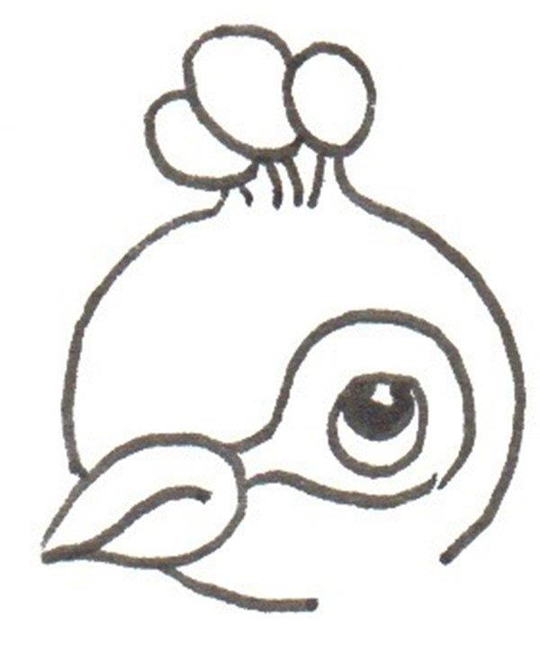 孔雀的简笔画怎么画 孔雀的简笔画简单