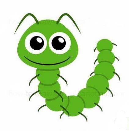 毛毛虫简笔画 毛毛虫简笔画带颜色