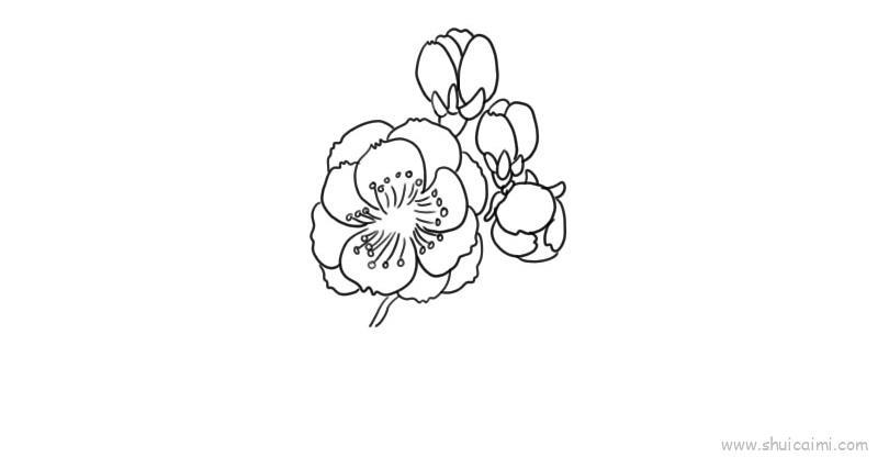梅花儿童画怎么画 梅花简笔画好看
