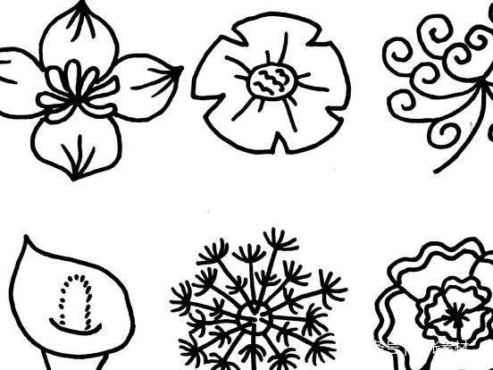 山茶花简笔画图片大全 山茶花简笔画图片大全彩色