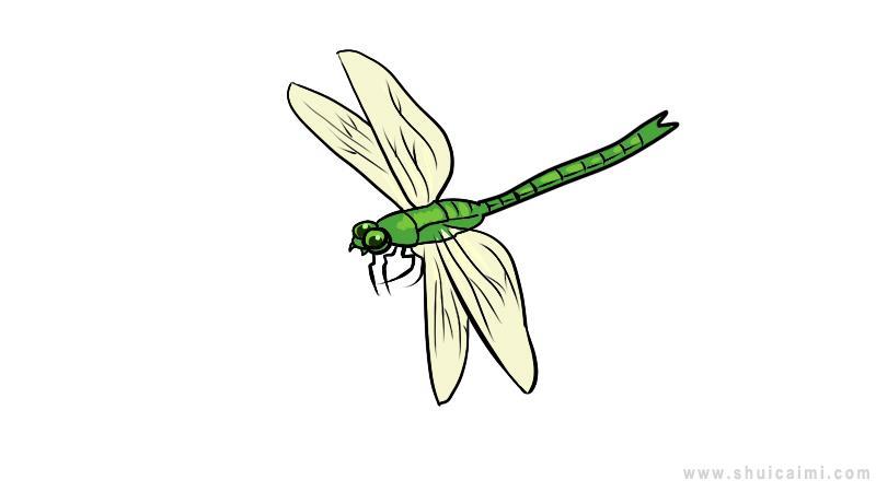 蜻蜓简笔画怎么画 蜻蜓简笔画顺序