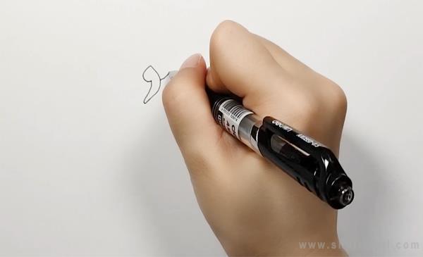 天鹅简笔画怎么画 天鹅简笔画图片大全