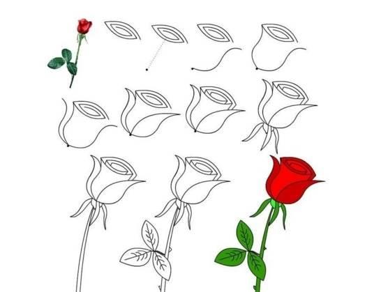 玫瑰花图片简笔画 玫瑰花图片简笔画手绘