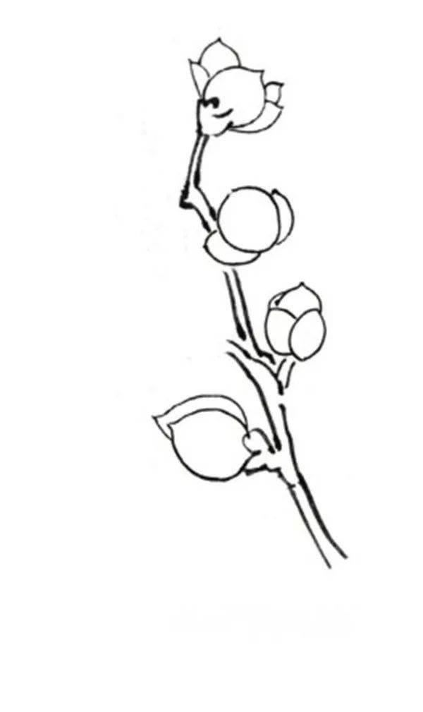 桃花简笔画图片大全 桃花简笔画图片大全带颜色