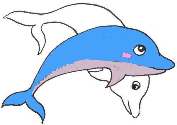 海豚的简笔画怎么画 海豚的简笔画图片大全