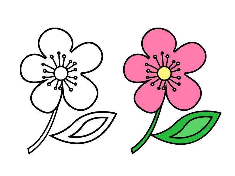 花简笔画 花简笔画图片大全