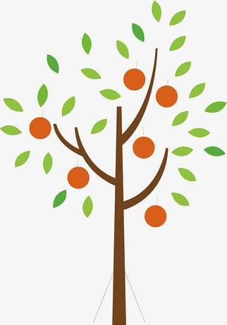 橘子树简笔画 橘子树简笔画图片带颜色