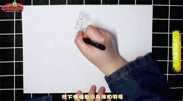 孔雀怎么画 孔雀简笔画简单易画彩色