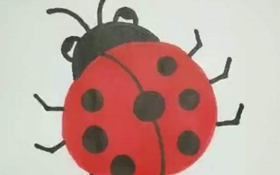 七星瓢虫简笔画 七星瓢虫简笔画图片大全