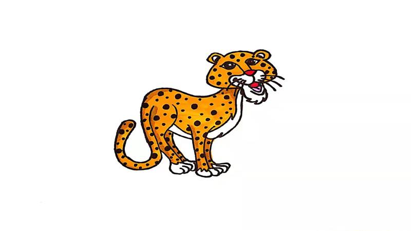 猎豹的简笔画怎么画 猎豹简笔画简单