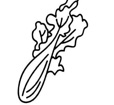 青菜简笔画 青菜简笔画图片