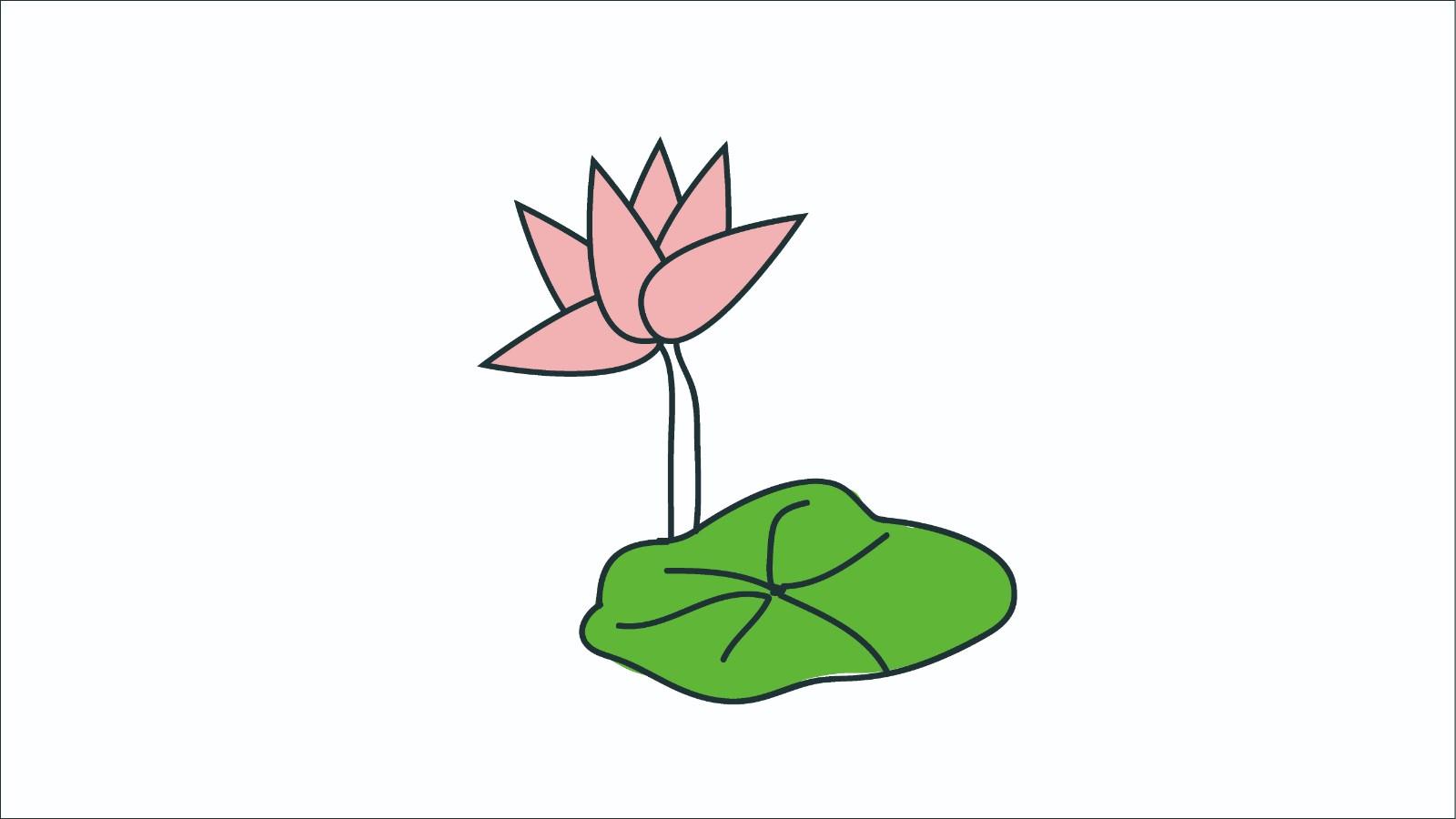 莲花的简笔画怎么画 莲花简笔画好看