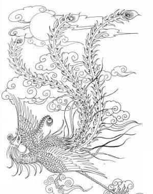 凤凰简笔画 凤凰简笔画霸气
