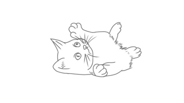 猫简笔画怎么画 猫简笔画顺序