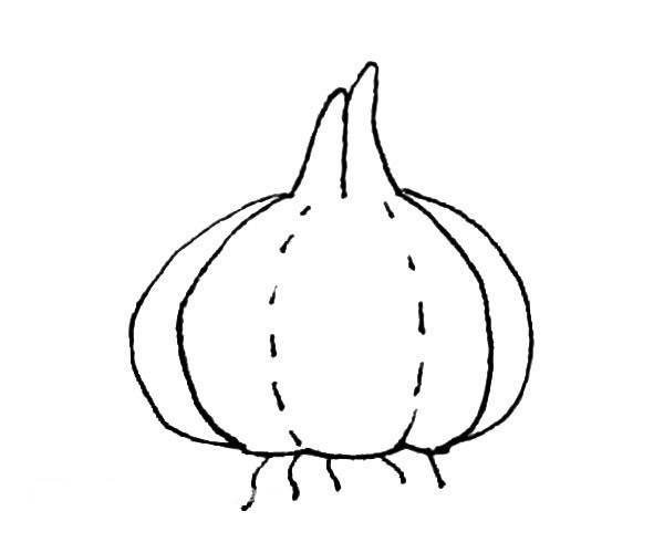 洋葱简笔画图片大全 洋葱简笔画图片大全可爱