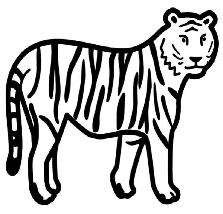 豹简笔画图片大全 豹简笔画图片大全彩色