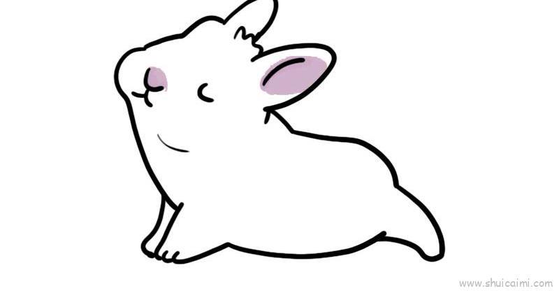 小肥兔儿童画怎么画 小肥兔简笔画步骤
