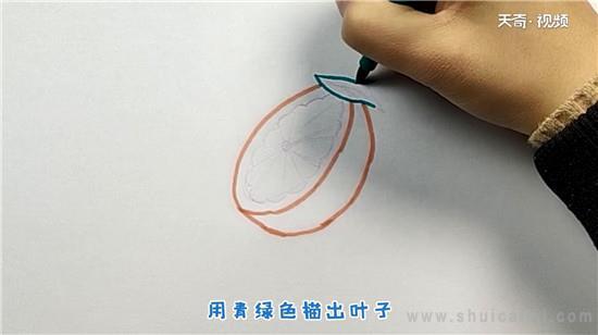橙子简笔画怎么画 橙子简笔画顺序