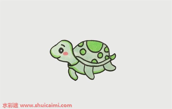海龟怎么画 海龟简笔画漂亮彩色