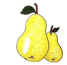 梨简笔画图片大全 梨简笔画图片大全图片