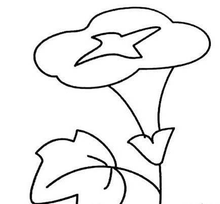 花卉简笔画 花卉简笔画图片大全